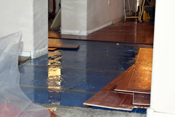 Professional Flood Cleanup technician working in Warren, IL
